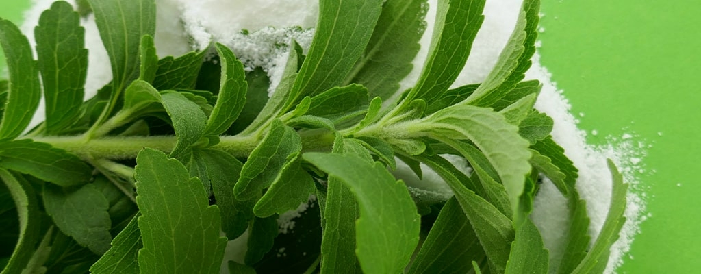 Wat is stevia en waar zit het in?