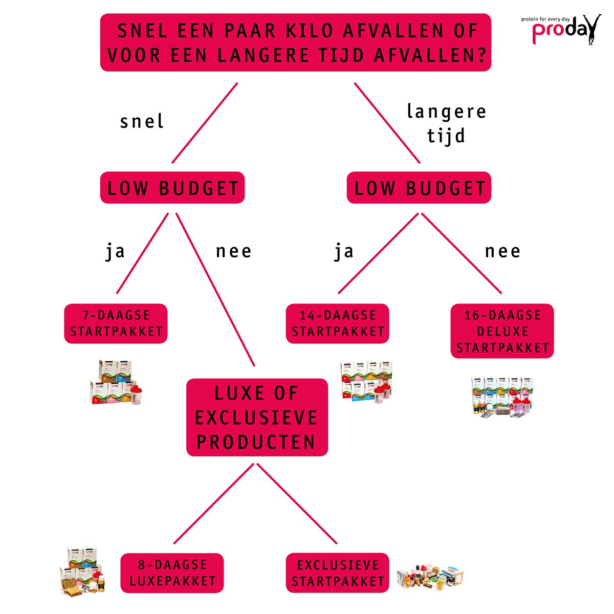 Proday startpakket infographic